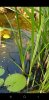 Screenshot_20190808-190631_Gallery.jpg