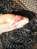 IMG_20190816_164624.jpg