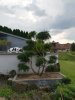 IMG_20190829_160050.jpg