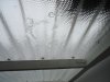 Regen 005.jpg