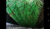 Screenshot_20190911_174158_com.android.gallery3d.jpg