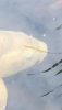 Screenshot_20190923_161859_com.android.gallery3d.jpg