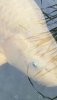 Screenshot_20190923_162011_com.android.gallery3d.jpg