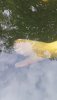 Screenshot_20190923_161826_com.android.gallery3d.jpg
