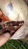 IMG-20191002-WA0056.jpg