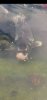 Screenshot_20191003_170856_com.google.android.gm.jpg