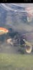 Screenshot_20191003_170940_com.google.android.gm.jpg