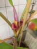20191006_174844.jpg