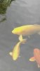 20191008_152813.jpg
