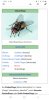 Screenshot_20191016-103150_Chrome.jpg