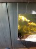20191026_125344.jpg