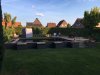 Teich allgemein.JPG