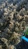 Screenshot_20191114_150042_com.android.gallery3d.jpg