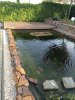 IMG_0778.JPG