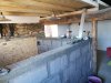 IMG_20191204_121722.jpg