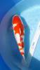 screenshot_20190501-173811 (2).png