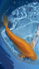 screenshot_20190501-173955 (2).png