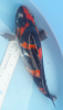 20190508_210711.png