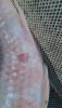 IMG-20200104-WA0005.jpg