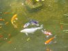 DSC02150.JPG