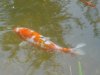 DSC02113.JPG