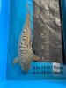 IMG-20190702-WA0093.jpg