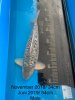 IMG-20190702-WA0096.jpg