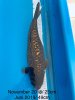 IMG-20190702-WA0101.jpg