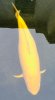 2690DD8C-90E6-45BD-AF8A-8B6EDDC8912B.jpeg