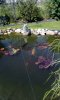 IMG-20190524-WA0004[1].jpeg