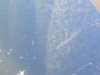 IMG_20190420_104804.jpg