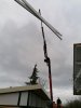IMG_20200307_094622.jpg
