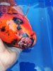 IMG_20190826_131606.jpg