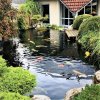 Teich .jpg