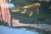DSC02669.JPG