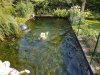 20170807_162147_resized.jpg