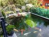 20200502_113529.jpg