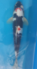 20190511_194252.png