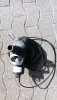 DSC_0177.JPG