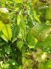 20200608_130856.jpg