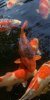 ED0ECB2C-BE14-40D5-A791-AB1AC7539F73.jpeg