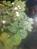 20200621_105429.jpg