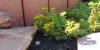 20200621_100953-_1920.jpg