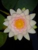 20140802_103236.jpg