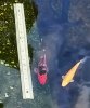 IMG_20200629_215305.jpg