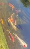 IMG_20200630_064541.jpg