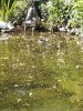 20200630_091653.jpg