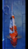 8361A445-13C9-4F4F-A754-333A5306E491.png