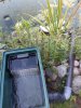 20200713_180854.jpg