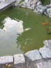 20200713_204946.jpg